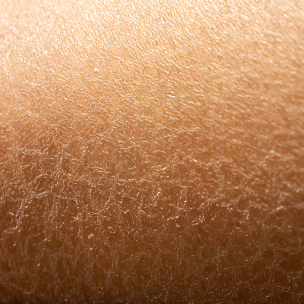 Image fondatrice SYKERA